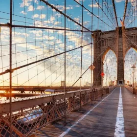 Bản tin cập nhật: Thông tin về Di trú Mỹ (10/11/2025)